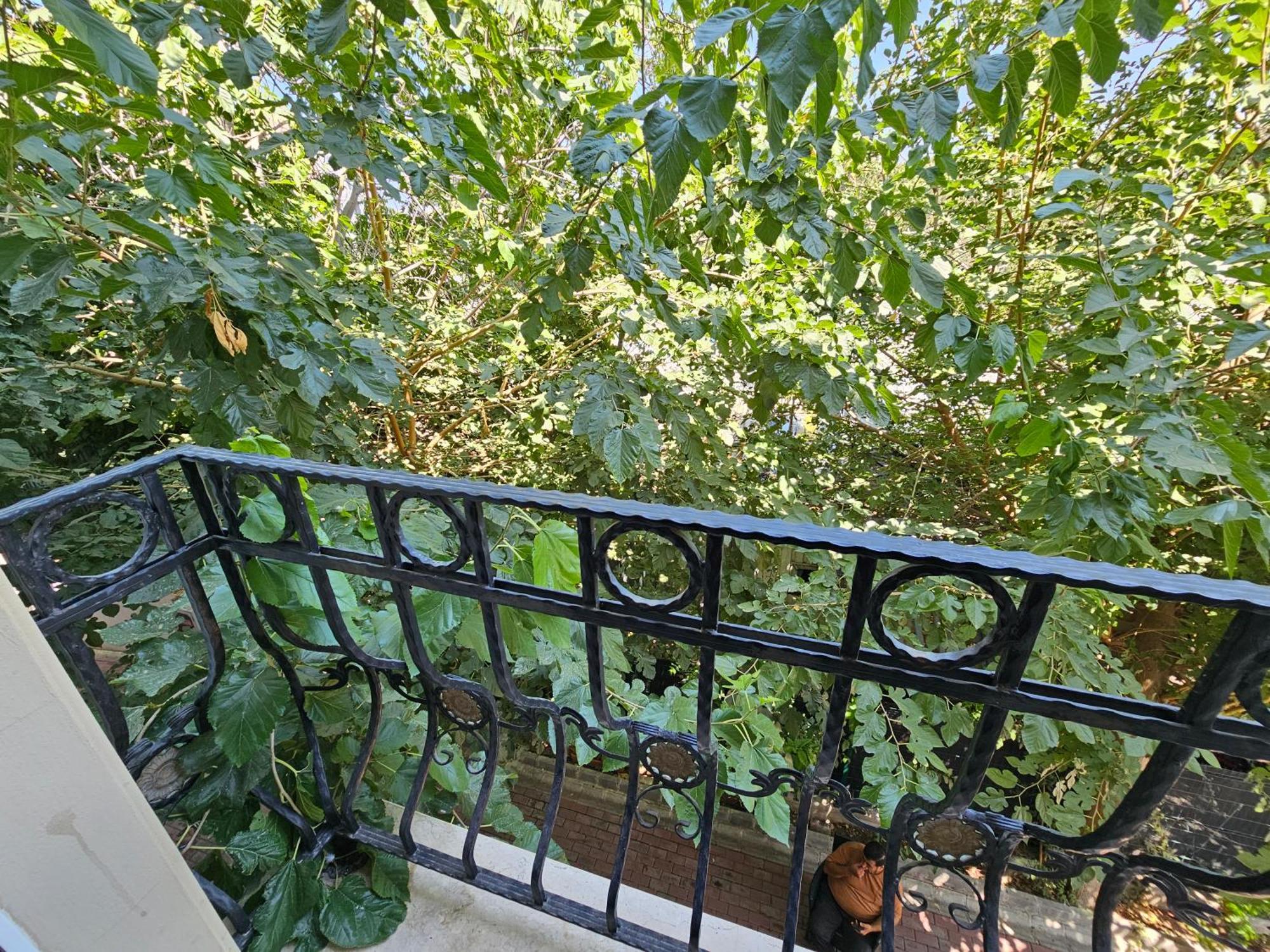 Park Palace Hotel Kyrenia  Exterior foto